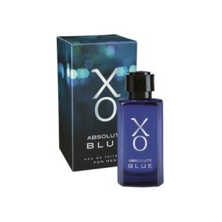 Alix Avien Xo Absolute Blue EDT 100 ml Erkek Parfümü kullananlar yorumlar